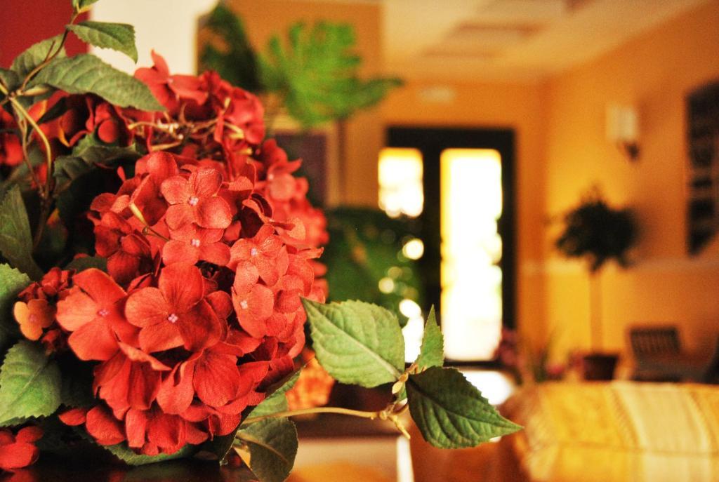 Greta Rooms Hotel Mazara del Vallo Exterior photo
